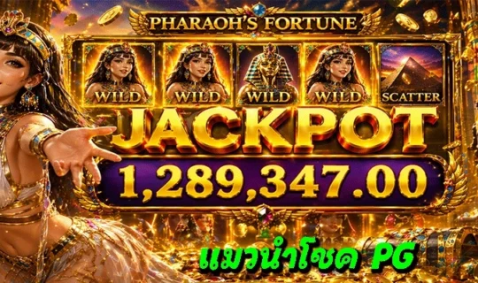 แมวนำโชค PG